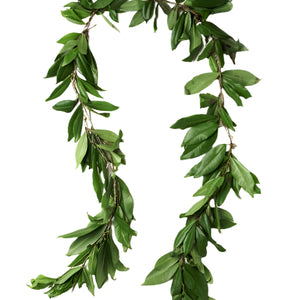 Fresh Big Island Hilo-style maile lei displayed on a white background.