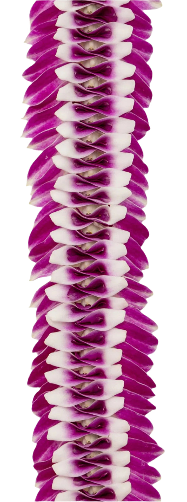 Close-up of a lei showing intricate craftsmanship using different parts of the purple orchid blossom, with each section forming a central bow tie shape for added texture and dimension.