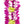 Close-up of a vibrant lei with purple and white orchid petals and green accents, showing feathered edges and a center that appears to blossom outward.