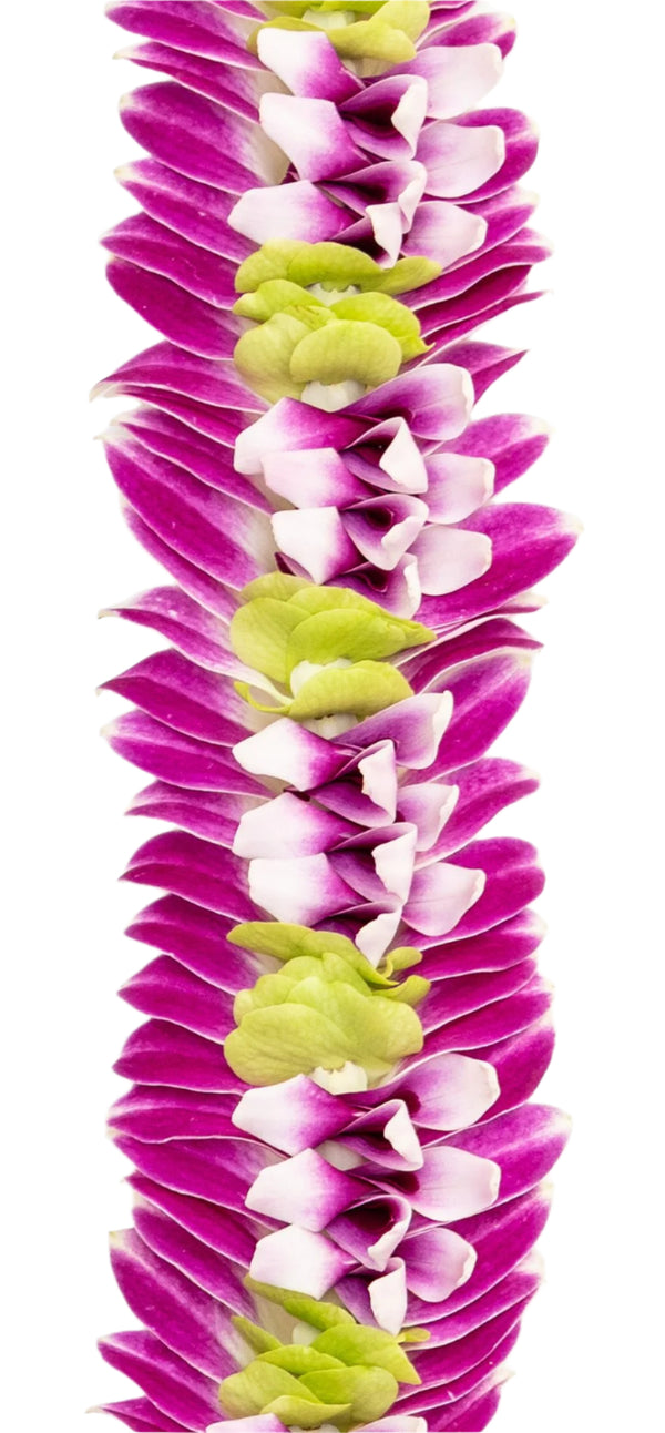 Close-up of a vibrant lei with purple and white orchid petals and green accents, showing feathered edges and a center that appears to blossom outward.