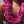 Hoʻomaikaʻi (Congratulations) Collection