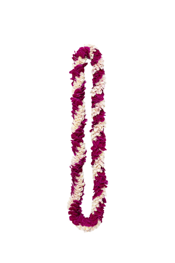 A premium lei made of purple orchid petals and the firm central nose part of the orchid blossom, arranged in an alternating diagonal spiral pattern against a white background.