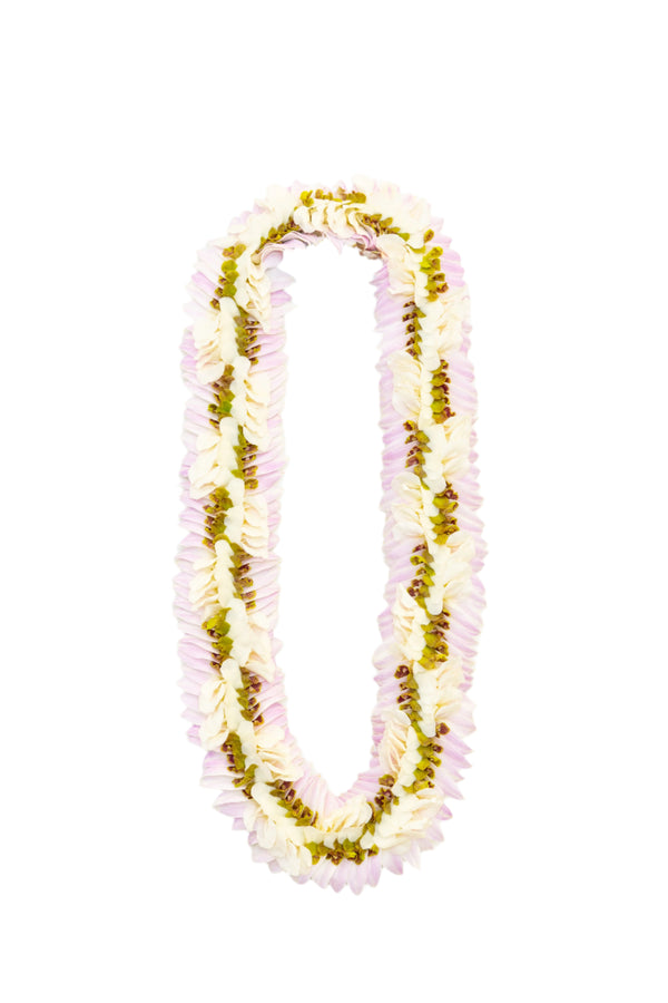 Lei featuring a half-white, half-jade color palette layered over light blush pink orchid petals, isolated on a white background.