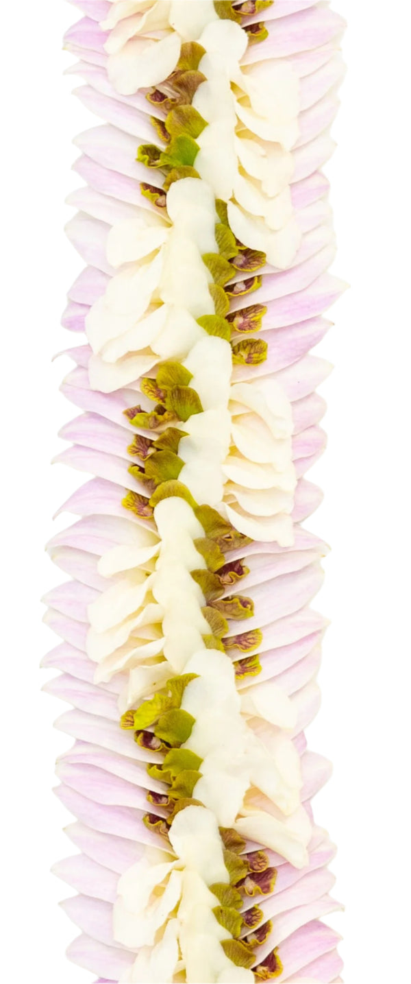 Close-up of a lei with a half-white, half-jade color scheme layered on soft blush pink petals, showing delicate texture and contrast, against a white background.