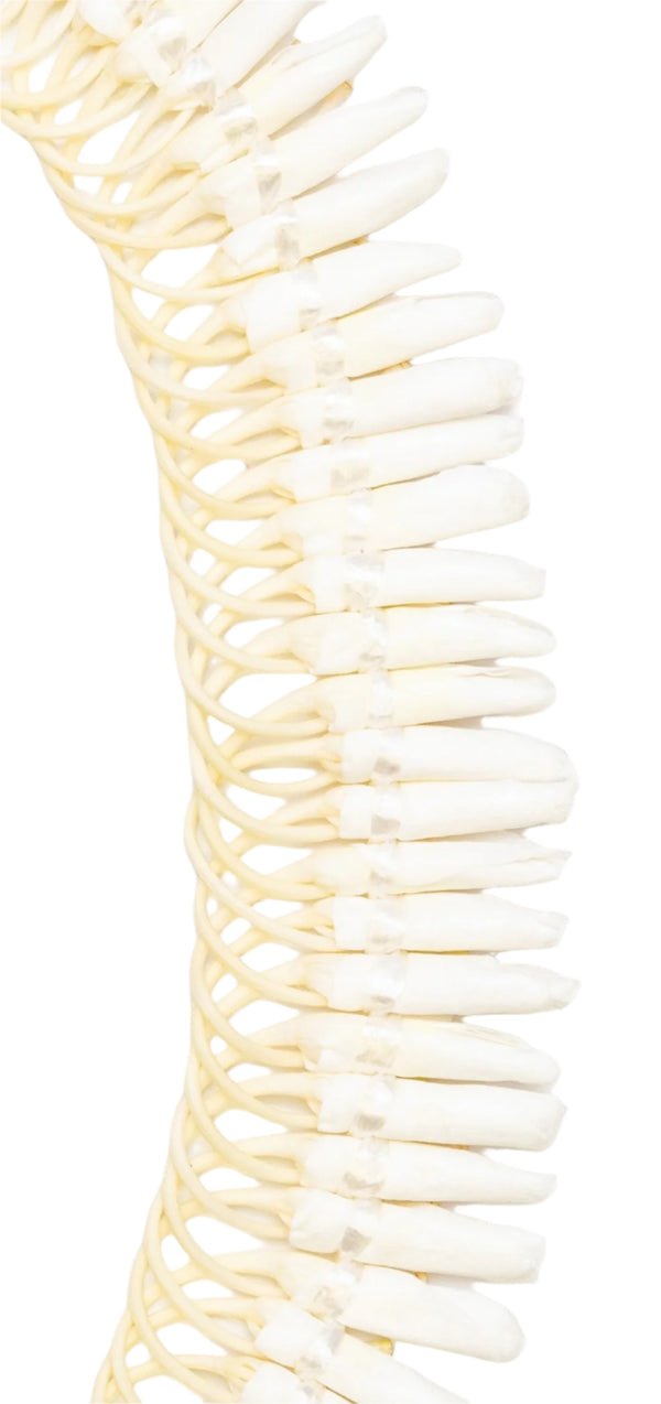 Close-up of a traditional Micronesian ginger lei showing delicate, thin petals rolled and sewn into intricate loops, , ideal for weddings, set against a white background.