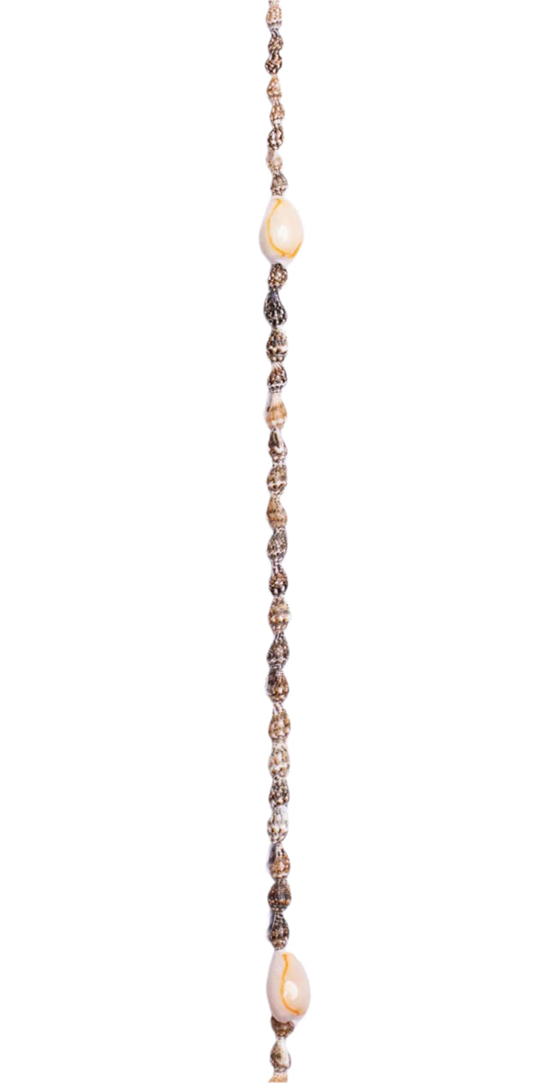 A lei made from a variety of natural seashells, featuring brown and beige speckled shells with larger cowrie shells.