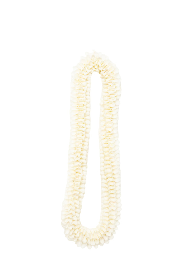 All white floral lei arranged in a spiral design, displayed against a white background, ideal for weddings.