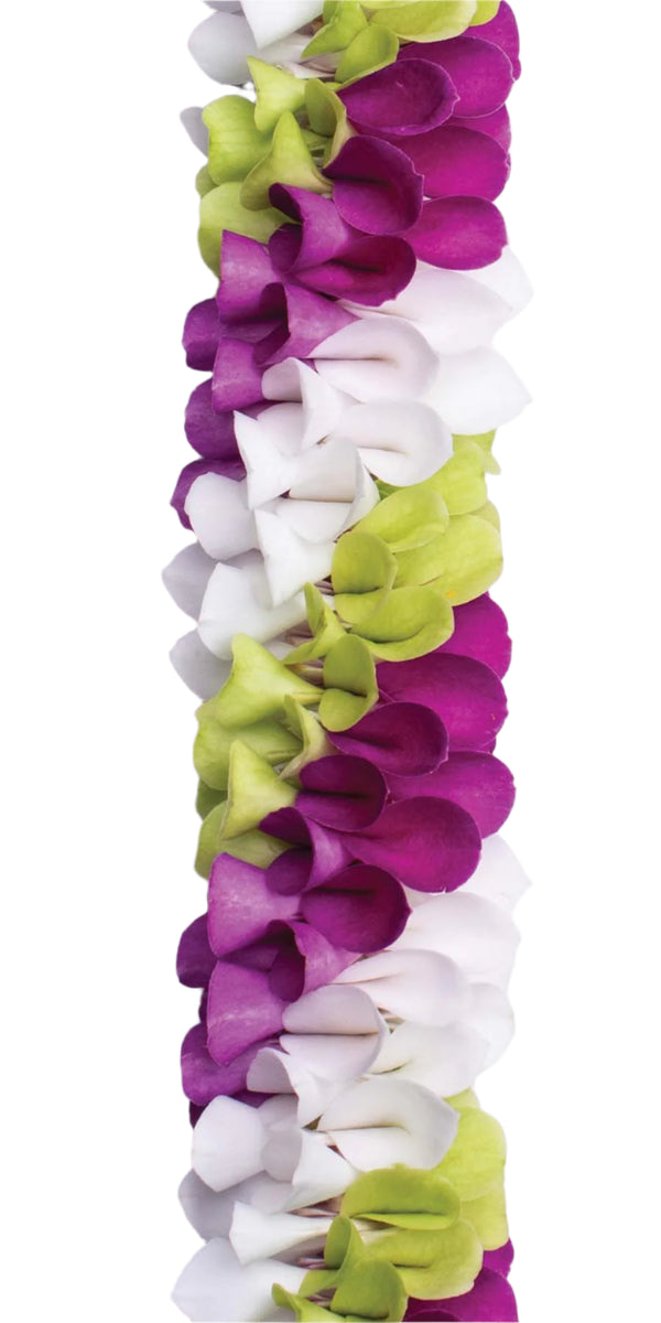 Close-up of a spiral orchid lei with alternating diagonal colors of green, purple, and white, highlighting the intricate pattern and texture.