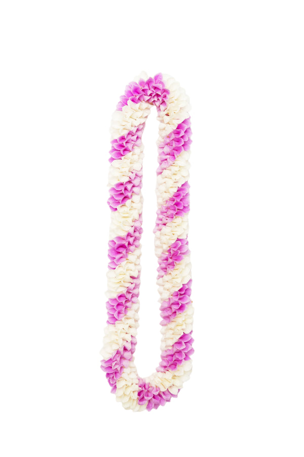 Spiral lei made of orchids featuring alternating diagonal stripes of pink and white petals.