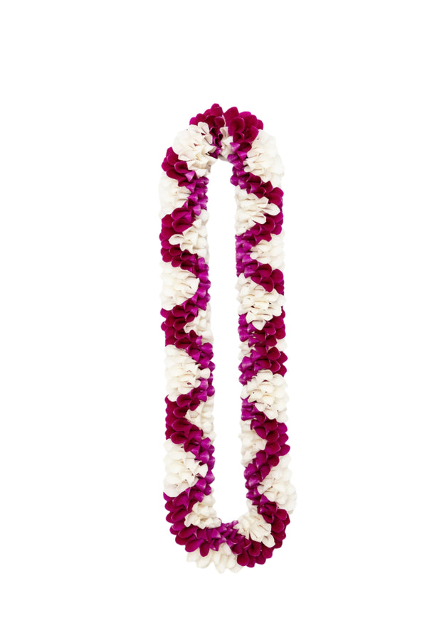 White orchid lei featuring deep purple zigzag patterns arranged in a spiral design, displayed against a white background.