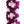 Close-up of a white orchid lei with deep purple crisscross diamond patterns arranged spirally, highlighting the intricate petal details against a white background.