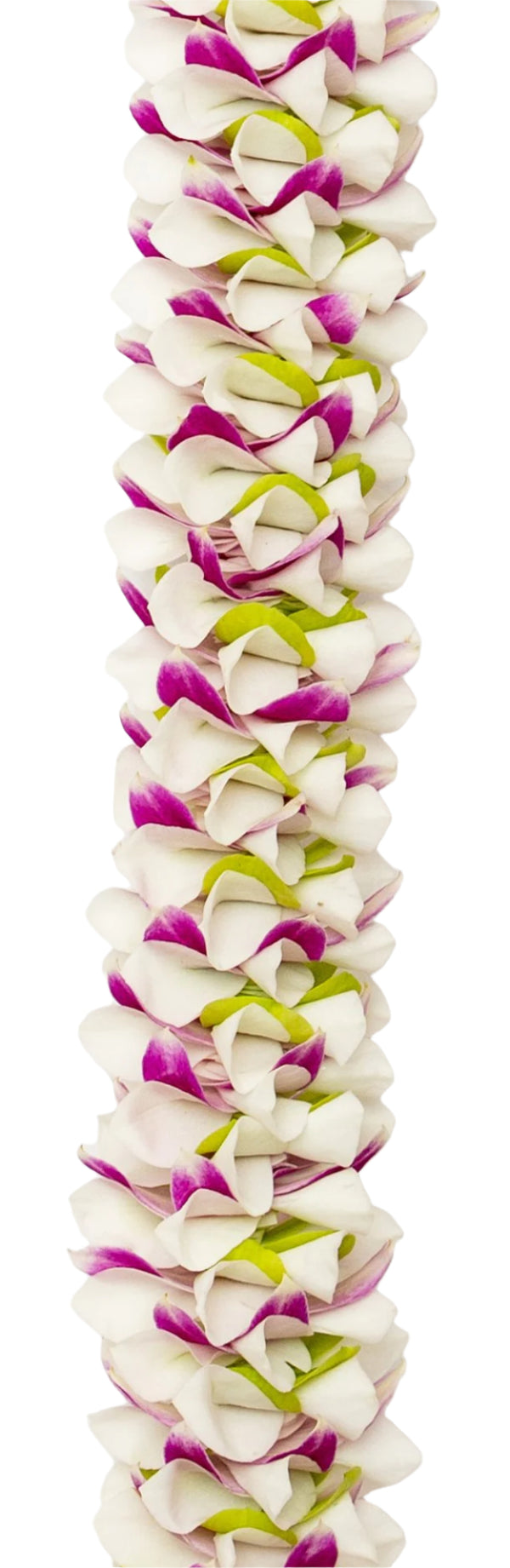 Close-up of a spiral lei featuring fresh orchid petals in purple, white, and green, intricately arranged in a twisting pattern.