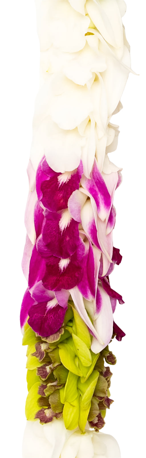 Close-up of a round premium lei showcasing alternating sections of purple, white, and jade orchids, highlighting the color contrast and texture.
