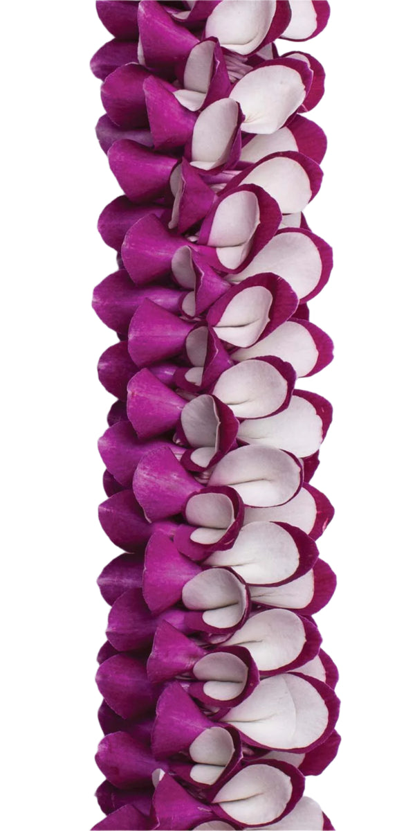 Close-up of a spiral lei featuring white orchid petals layered over purple petals, highlighting the texture and color contrast against a white background.
