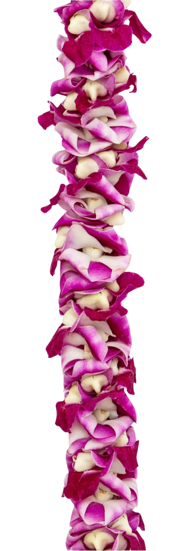 Close-up of a lei made from all parts of a purple orchid blossom, showcasing its rich texture and the subtle color variations of a single flower.