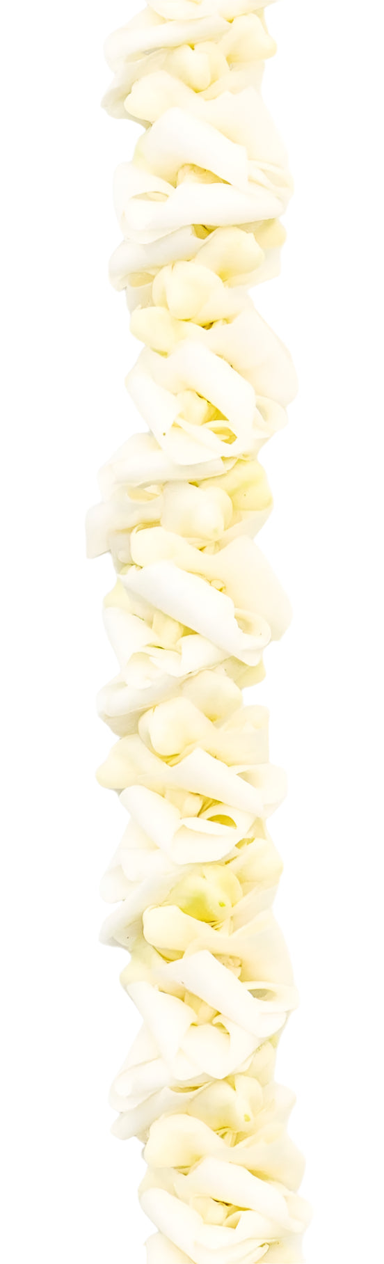 Close-up of a white lei showing crisp folded orchid blossoms, with both soft petals and firm flower centers used to create a unique, dimensional texture.
