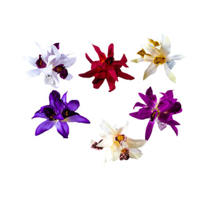 Collection of colorful silk orchid hair clips displayed on a white background.