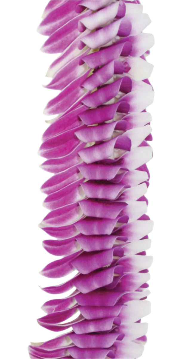 Close-up of the lei highlighting the detailed folding and flaring of the orchid petals, with the two-toned purple colors interwoven in a precise, textured arrangement.