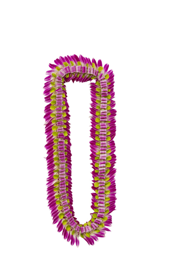A deluxe flat lei made of folded and flared orchid petals in alternating purple and green colors, arranged in a compact, elegant pattern against a white background.