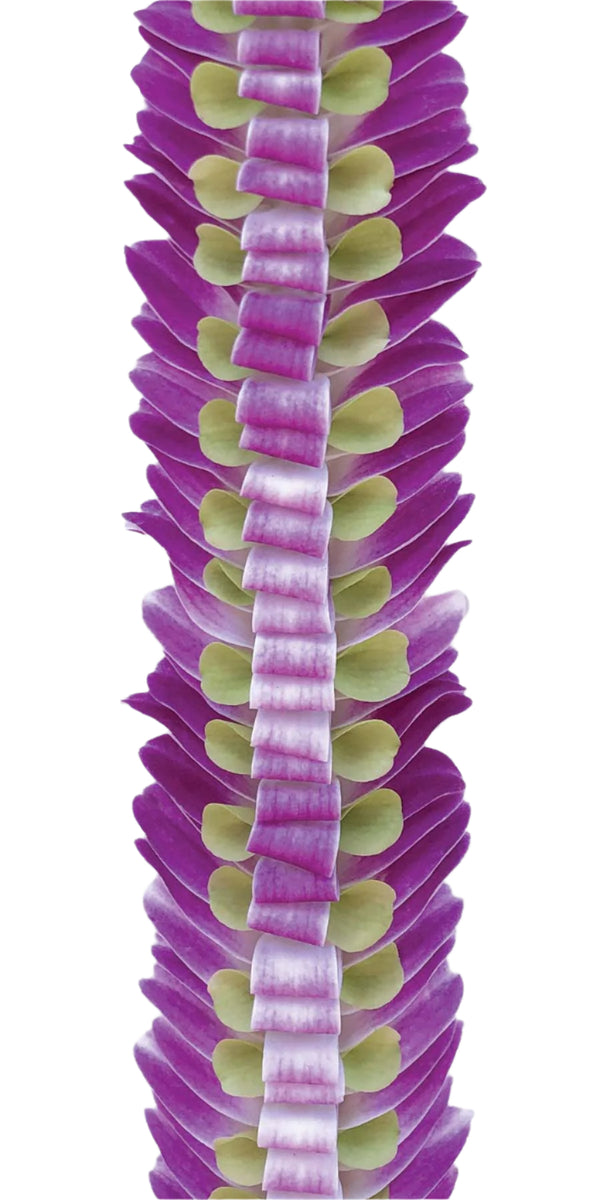 Close-up of the deluxe flat lei highlighting the folded and flared orchid petals in purple and green, showcasing the intricate layering and texture of the design.