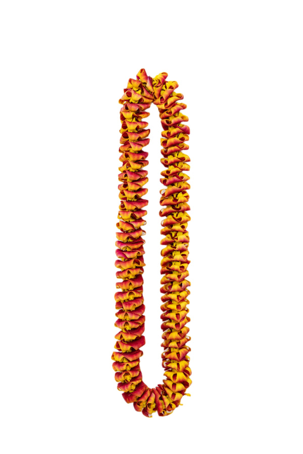 Premium orchid lei with tinted petals transitioning from red to orange to yellow, inspired by the colors of a puakenikeni lei.