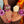 Collection of colorful floral orchid wristlets worn on four hands, showcasing a variety of vibrant designs.