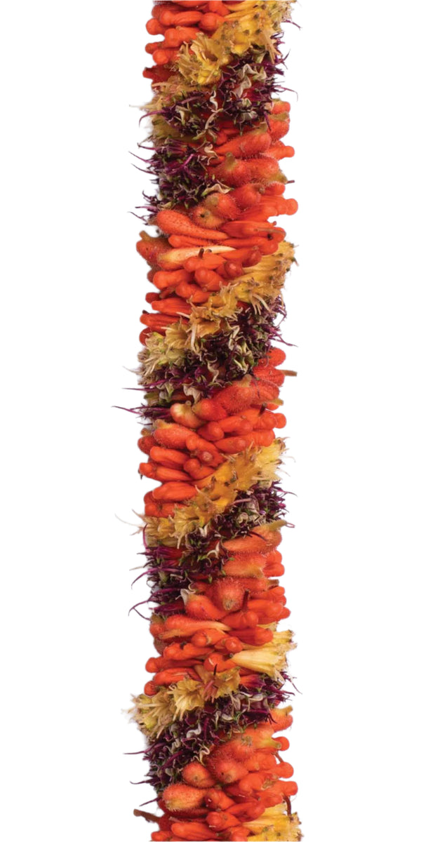 A close-up of a lei made from tiny cigars in orange, yellow, and red colors, woven together.