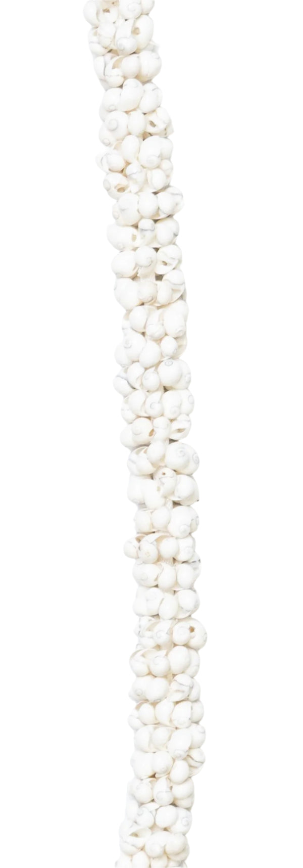 Close-up of a lei crafted from white mongo shells.