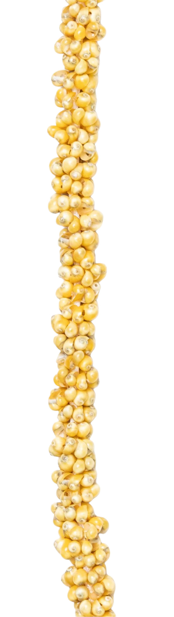 Close-up of a lei crafted from yellow mongo shells.