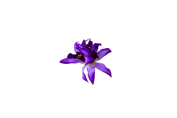 Hair clip featuring three faux purple orchids.