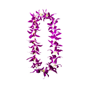 Lei made of silk fuchsia orchids and white plastic crown flowers.