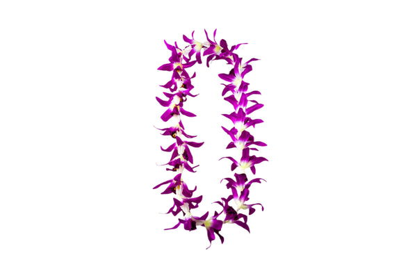 Lei made of silk fuchsia orchids and white plastic crown flowers.