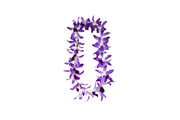 Lei made of silk purple orchids and white plastic crown flowers.