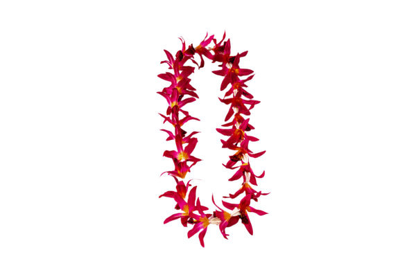 Lei made of silk red pink orchids and white plastic crown flowers.