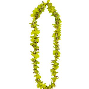 Classic single-strand lei made of all jade green orchids.