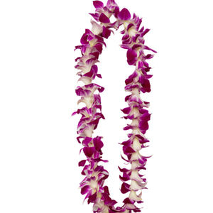 Classic single-strand lei made of all purple orchids.