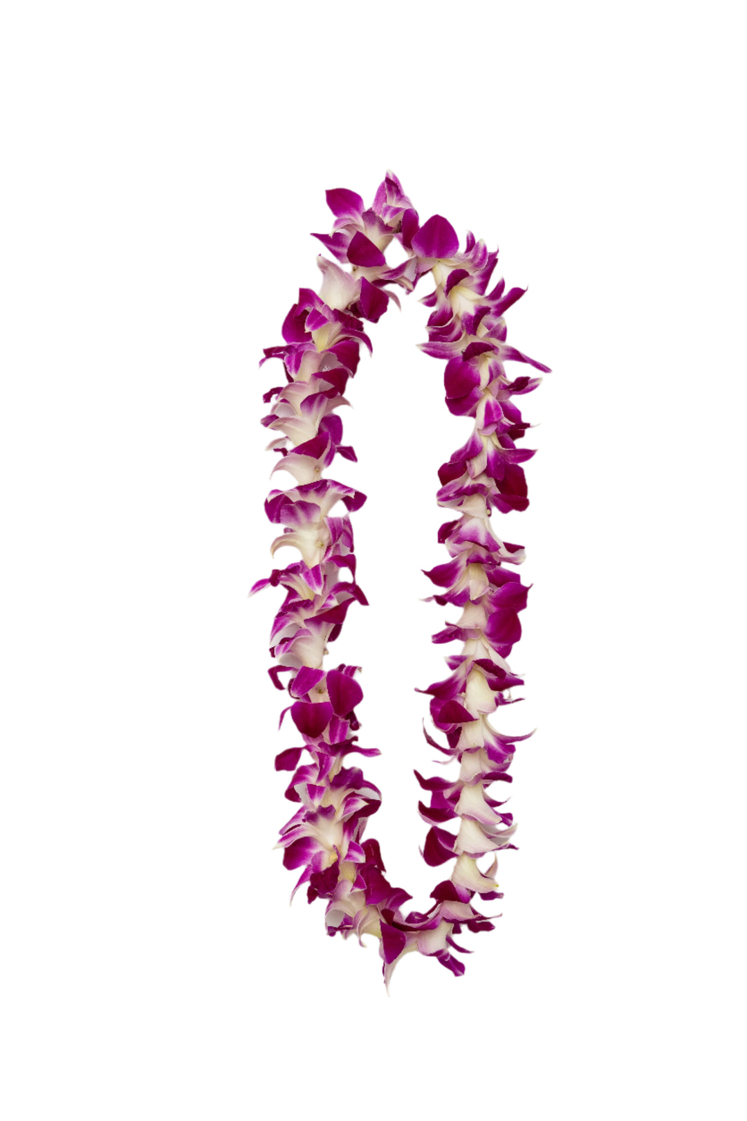 Classic single-strand lei made of all purple orchids.