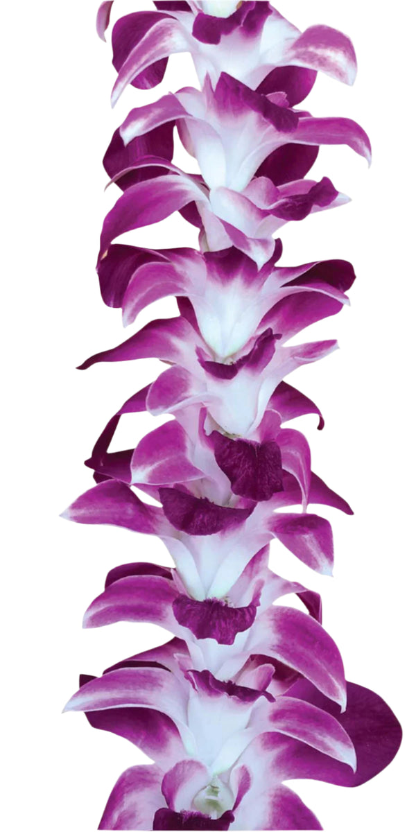 Close-up of a classic single-strand lei made of all purple orchids.