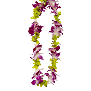Classic single-strand lei made of green and purple orchids arranged alternately.