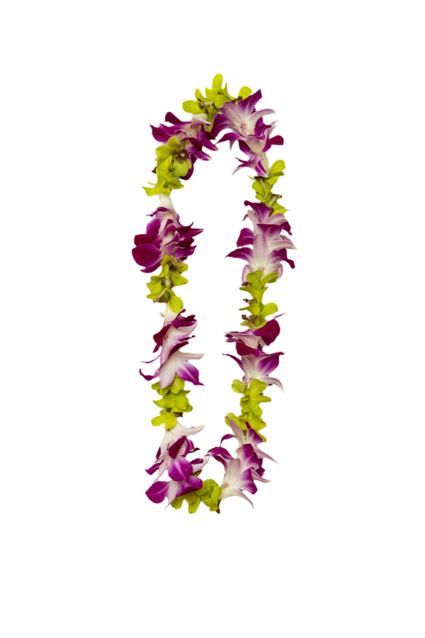 Classic single-strand lei made of green and purple orchids arranged alternately.