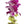 Close-up of a single-strand orchid lei featuring alternating green and purple orchids, highlighting the simple yet elegant design.