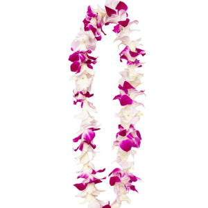Classic single-strand lei made of alternating  purple and light pink orchids.