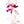 Close-up of a classic single-strand lei made of alternating  purple and light pink orchids.