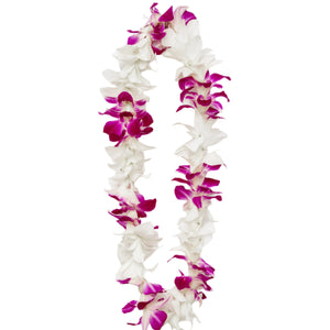 Classic single-strand lei made of alternating white and purple orchids.