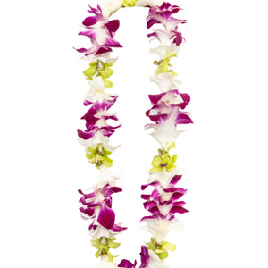 Lei made with a vibrant blend of purple, white, and green orchids, strung together in a single strand design.