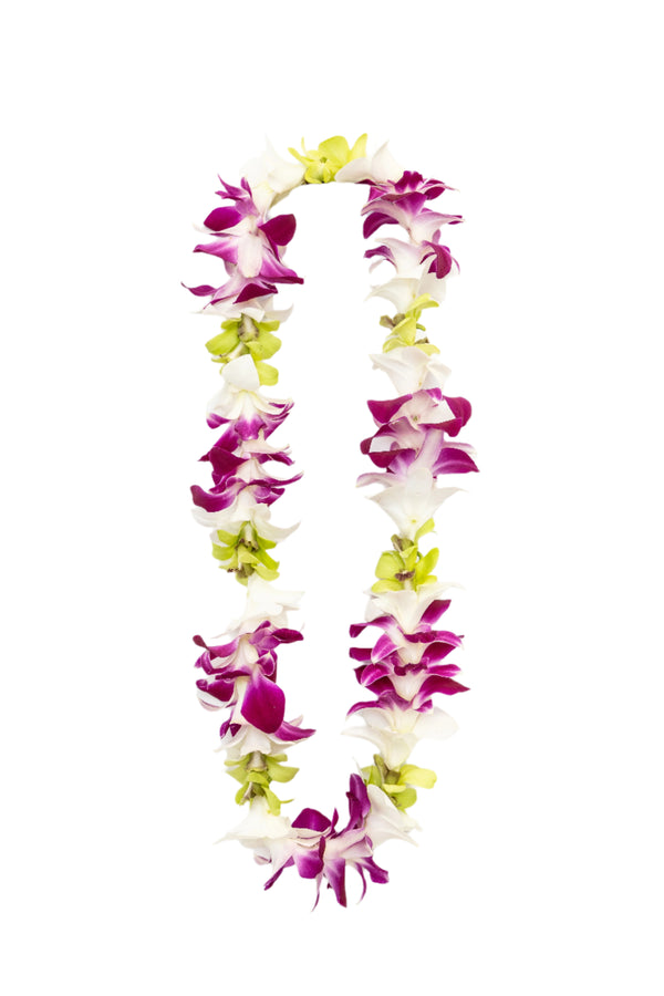 Lei made with a vibrant blend of purple, white, and green orchids, strung together in a single strand design.