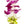 Close-up of a lei featuring a vibrant mix of purple, white, and green orchid petals, strung in a single strand, highlighting the colors and textures.