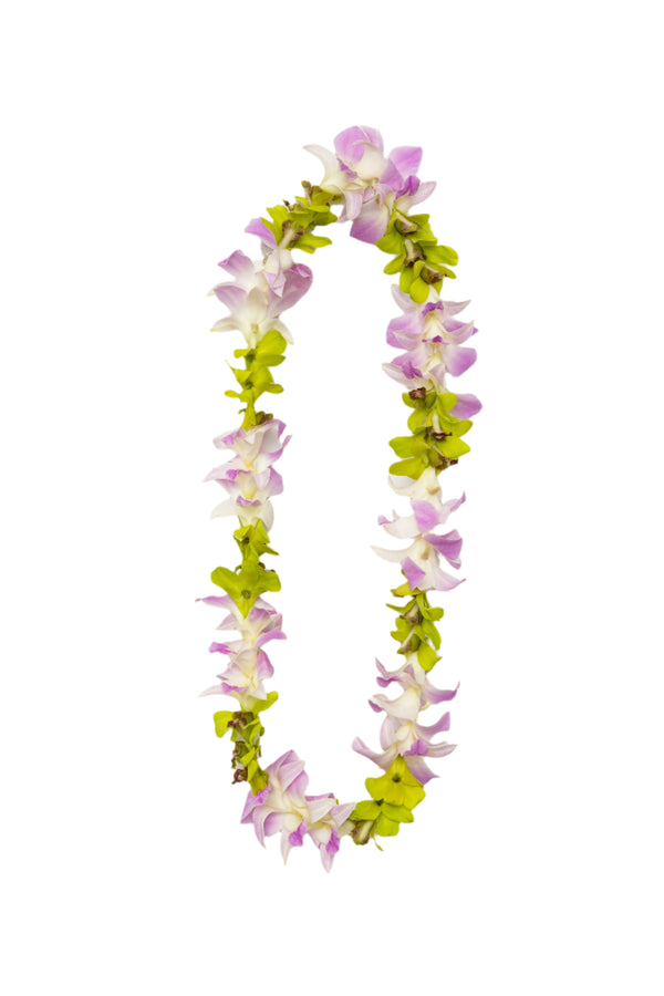 Classic single-strand lei made of alternating  jade green and light pink orchids.