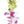 Close-up of a classic single-strand lei made of alternating  jade green and light pink orchids.