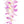 Close-up of a lei featuring soft pink blossoms strung in a delicate single-style design, highlighting the gentle texture and color.